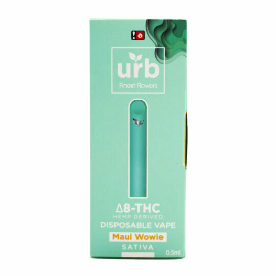 Disposable Vape